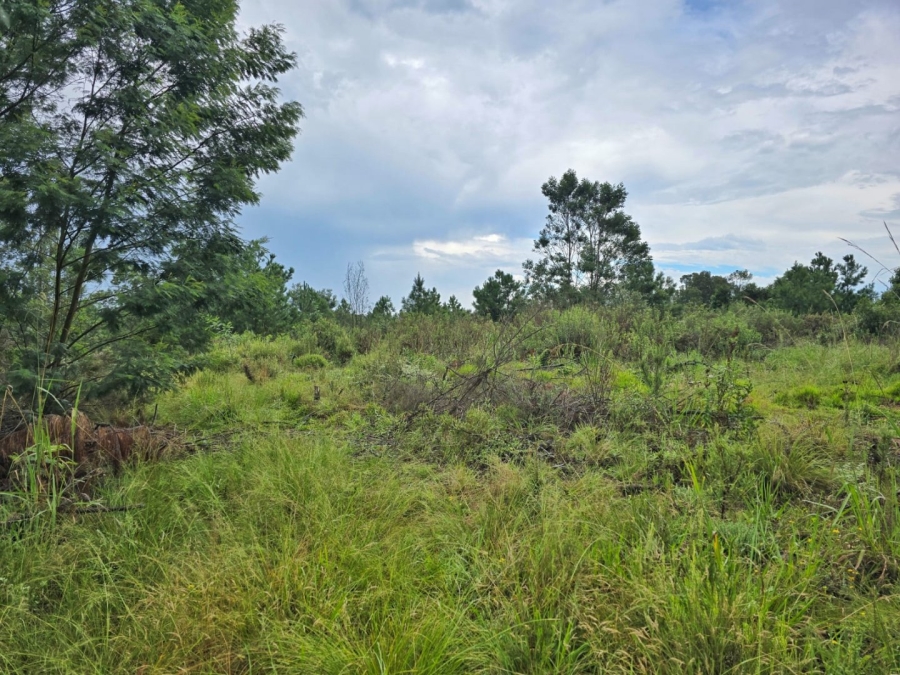 Commercial Property for Sale in Wilderness Heights Western Cape